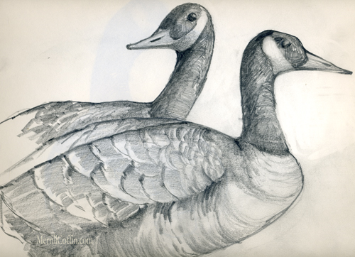 A study in Geese