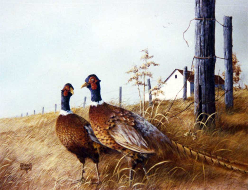 Golden Serenity – Two Pheasants in a Field