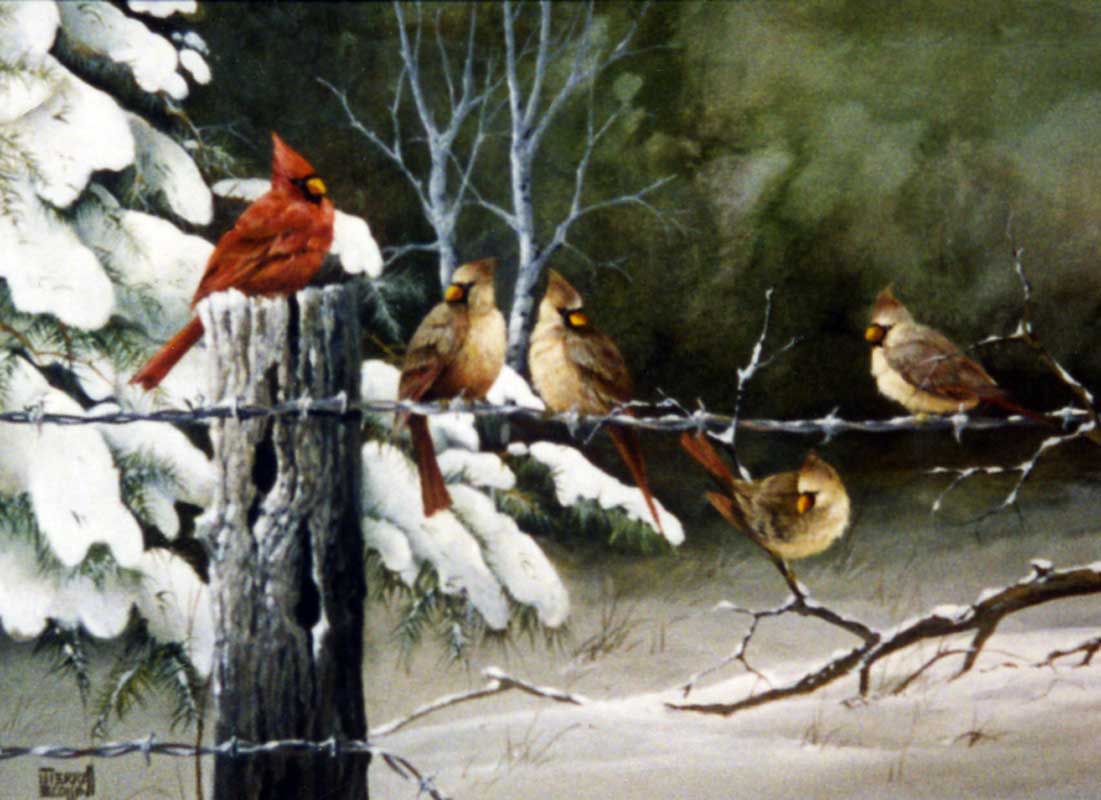 Cardinals on the Fence