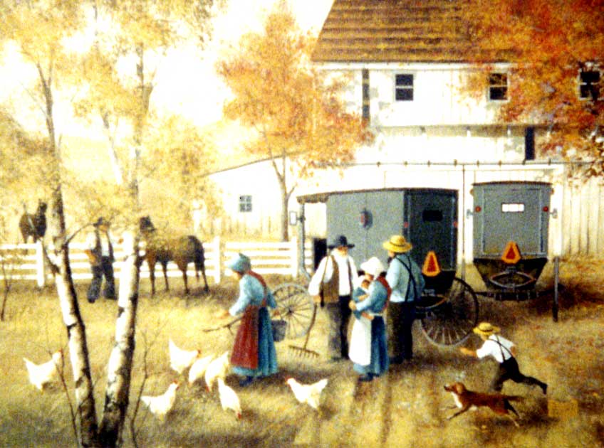 Amish Feeding Chickens