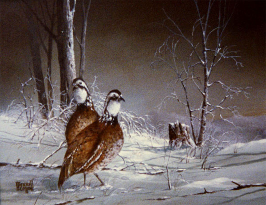 Merrill Coffin’s Winter Sentinels: Nature’s Quiet Story